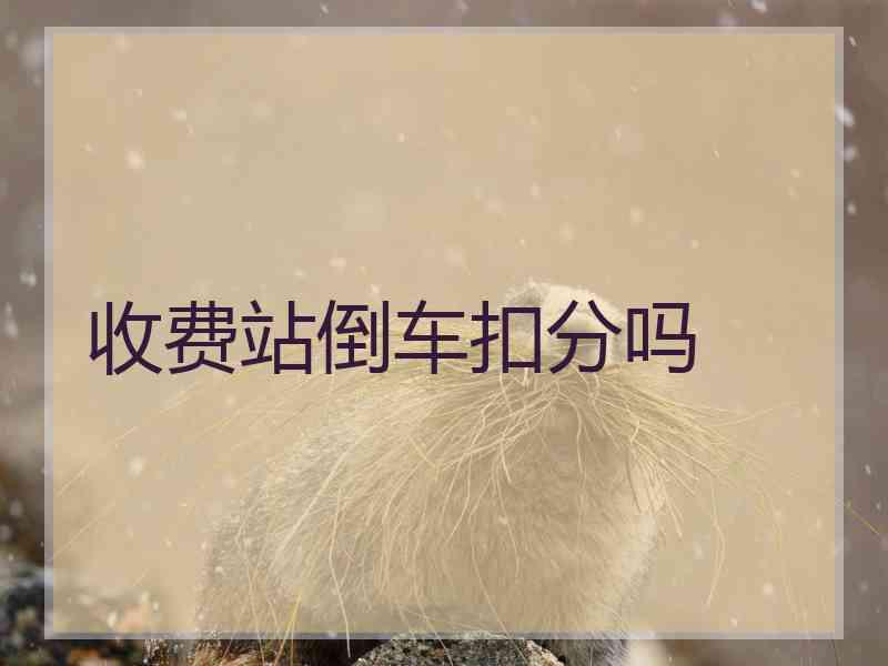 收费站倒车扣分吗