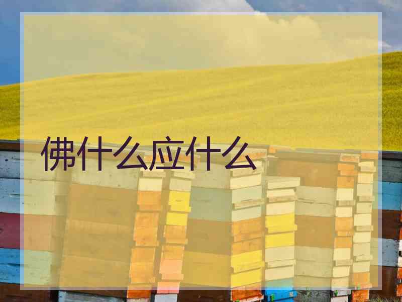 佛什么应什么