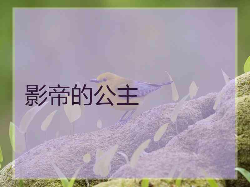影帝的公主
