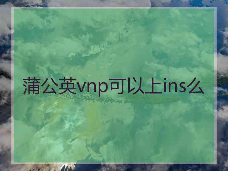 蒲公英vnp可以上ins么
