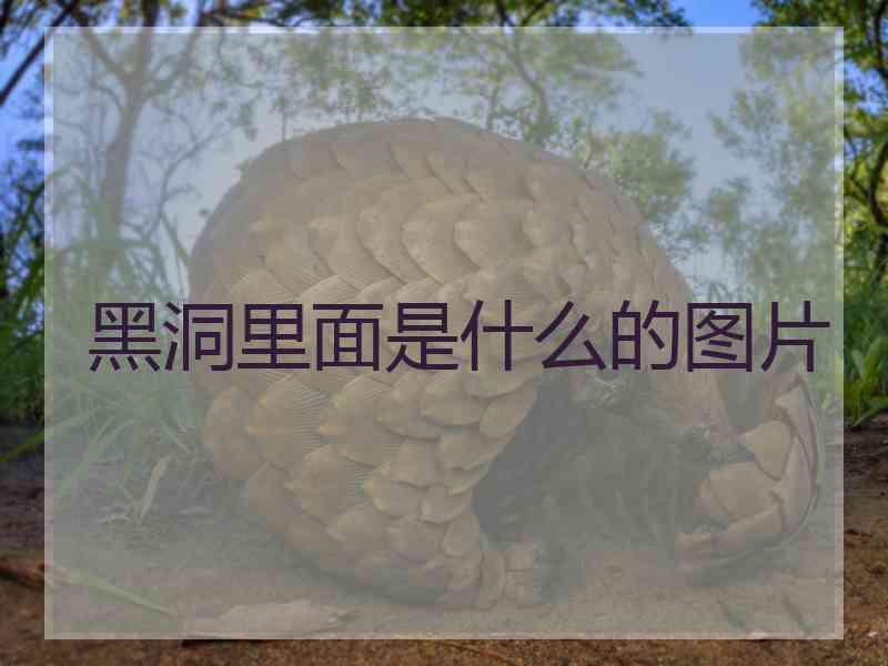 黑洞里面是什么的图片