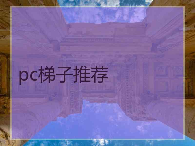 pc梯子推荐