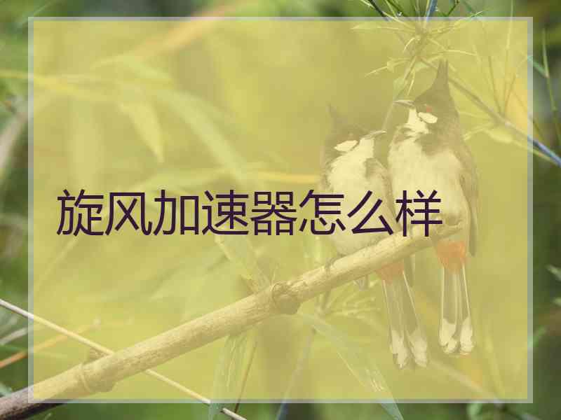 旋风加速器怎么样