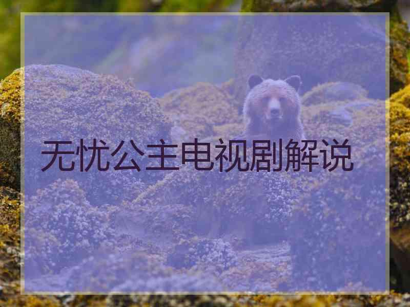 无忧公主电视剧解说