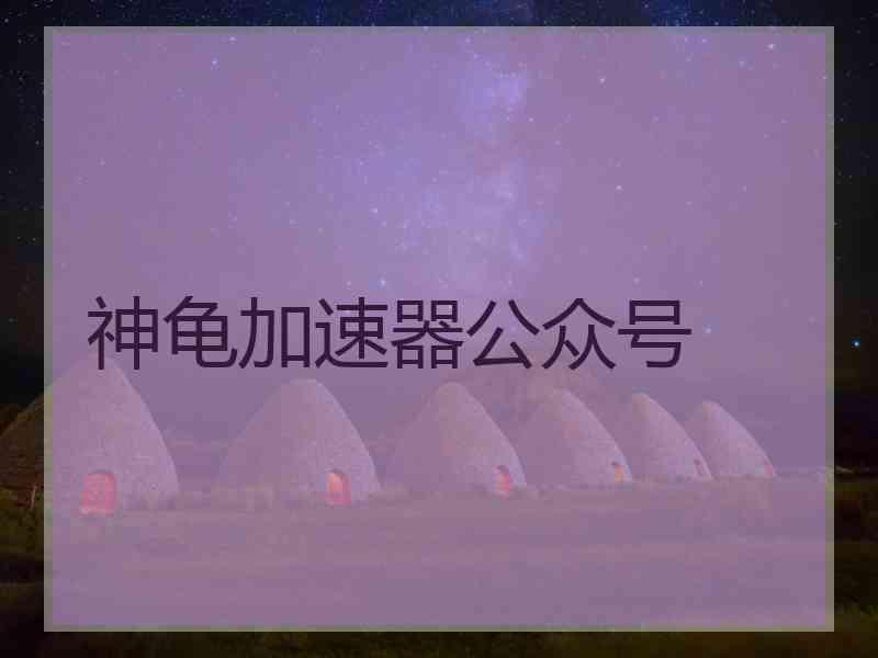 神龟加速器公众号