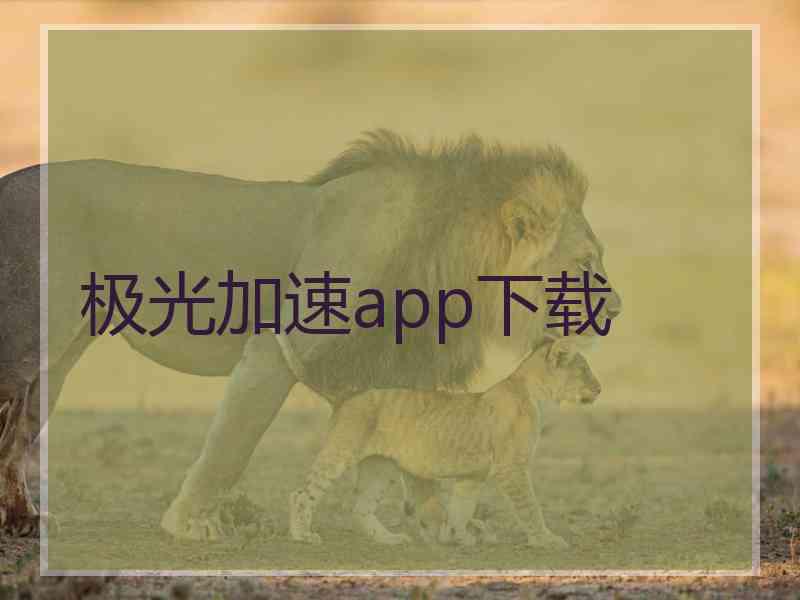 极光加速app下载