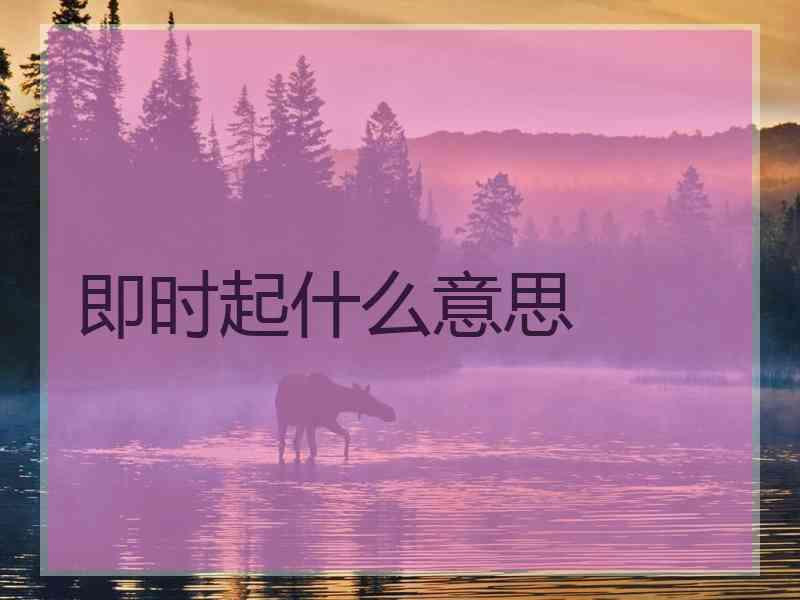 即时起什么意思
