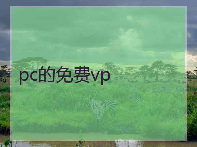 pc的免费vp