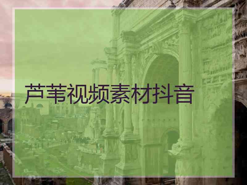 芦苇视频素材抖音