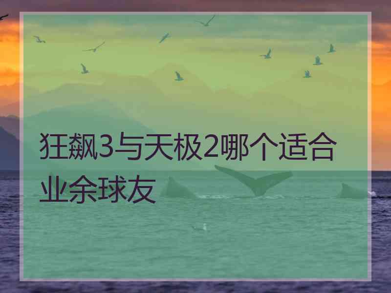 狂飙3与天极2哪个适合业余球友