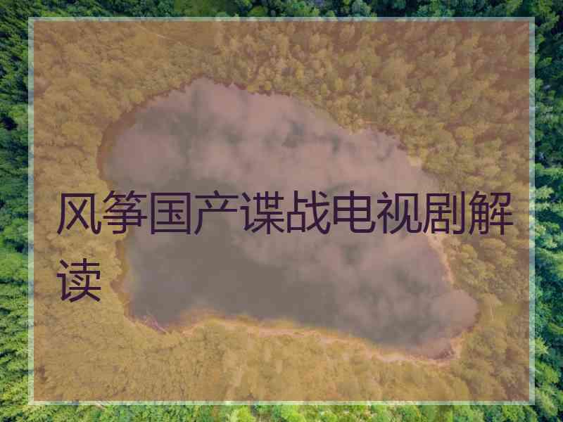 风筝国产谍战电视剧解读
