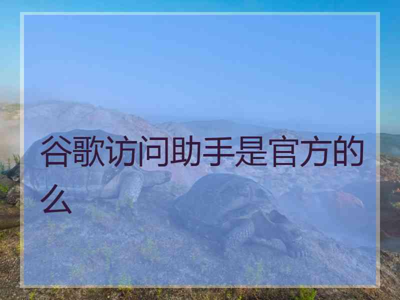 谷歌访问助手是官方的么