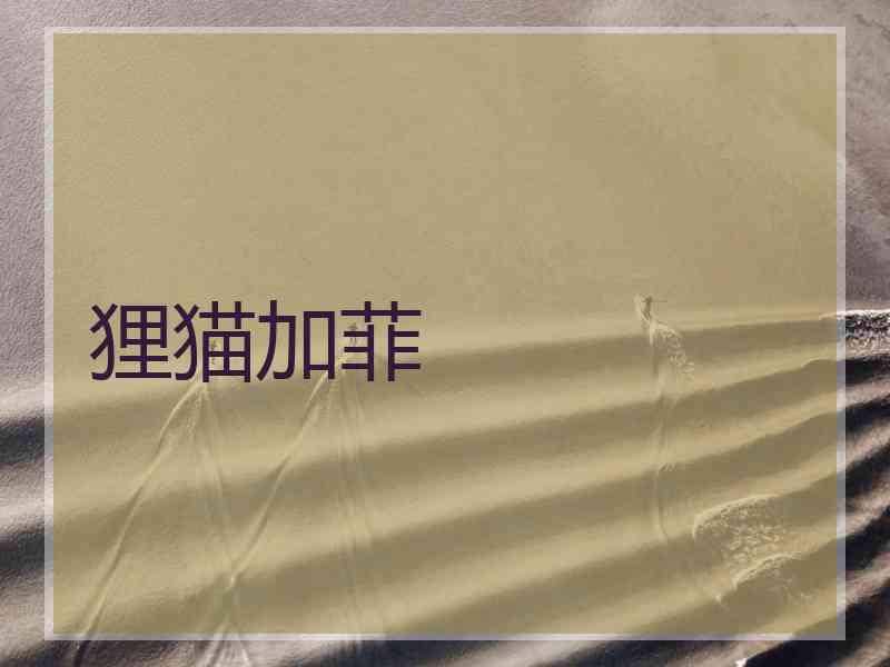 狸猫加菲