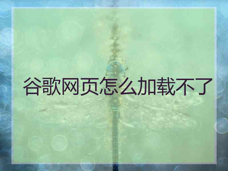 谷歌网页怎么加载不了