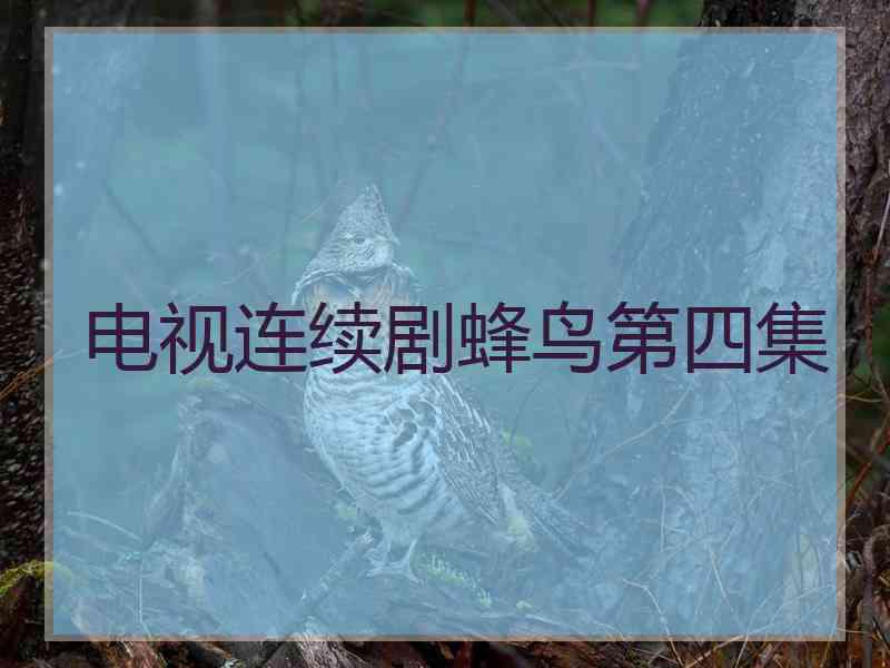 电视连续剧蜂鸟第四集