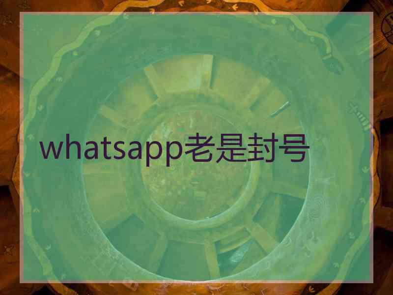 whatsapp老是封号