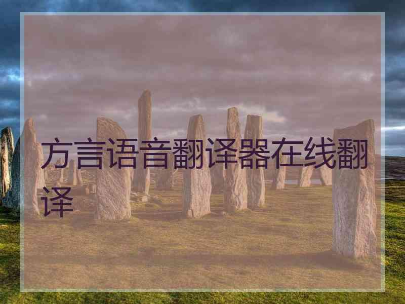 方言语音翻译器在线翻译