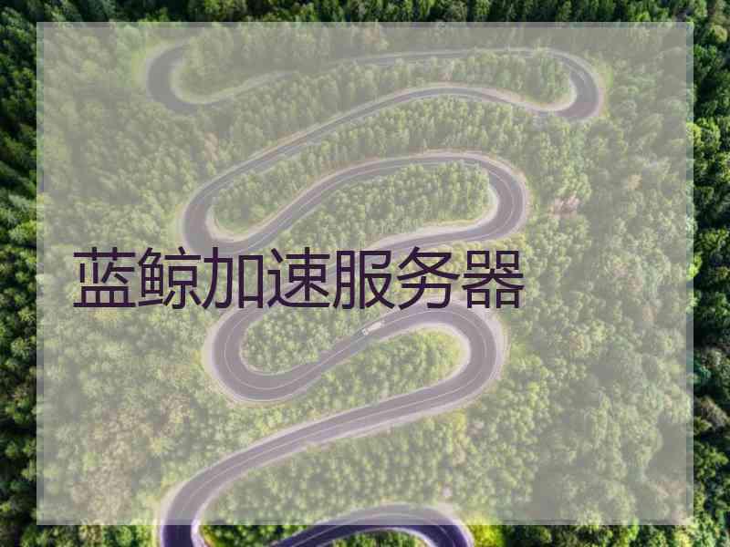 蓝鲸加速服务器