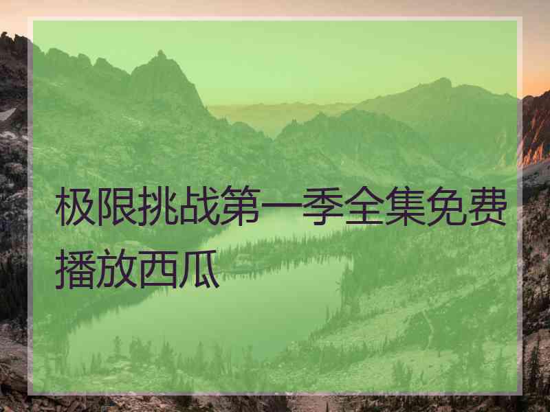 极限挑战第一季全集免费播放西瓜