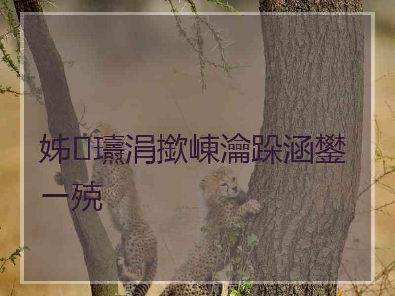姊瓙涓撳崠瀹跺涵鐢ㄧ殑