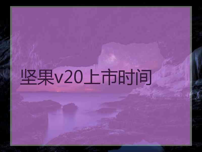 坚果v20上市时间
