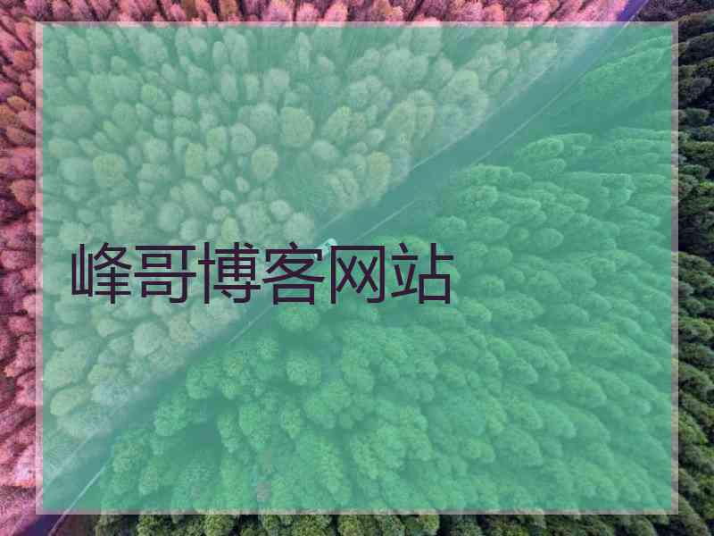 峰哥博客网站