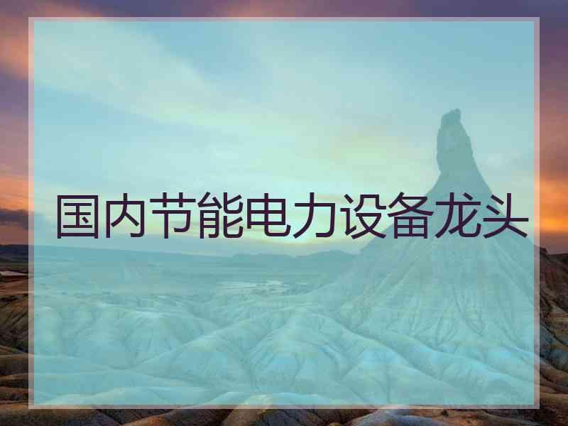 国内节能电力设备龙头