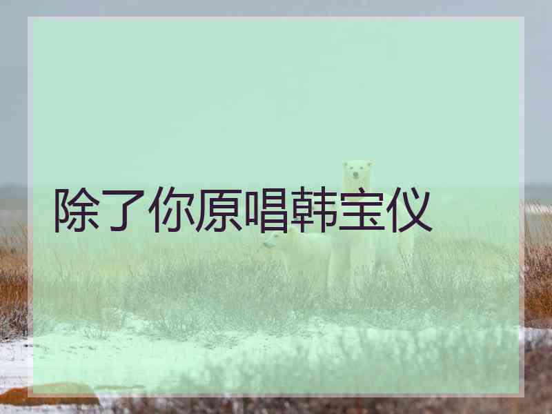除了你原唱韩宝仪
