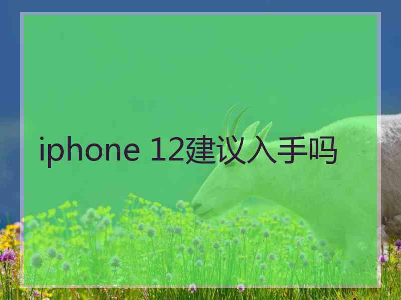iphone 12建议入手吗