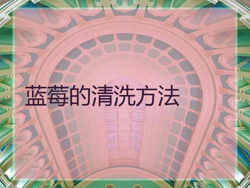 蓝莓的清洗方法