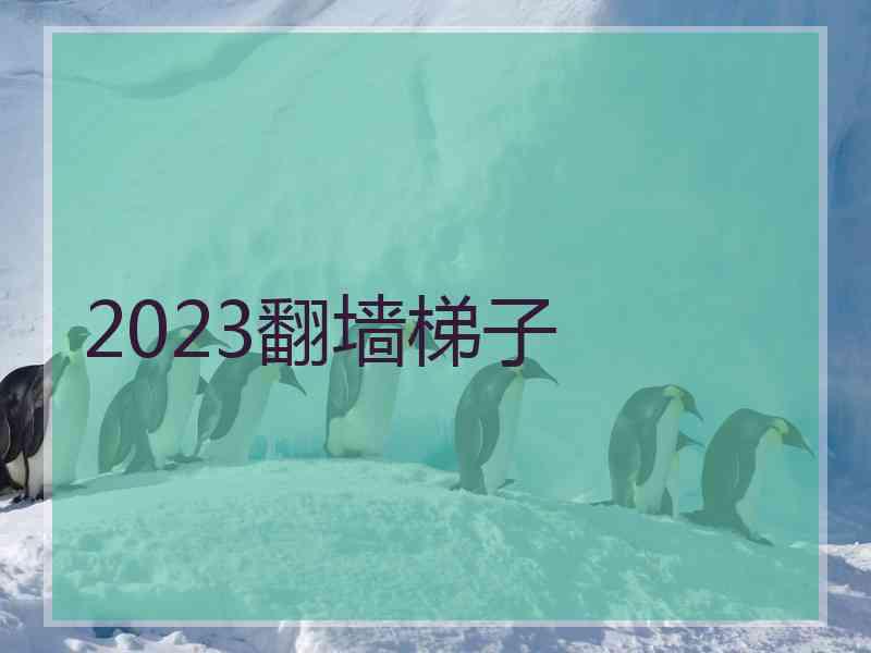 2023翻墙梯子