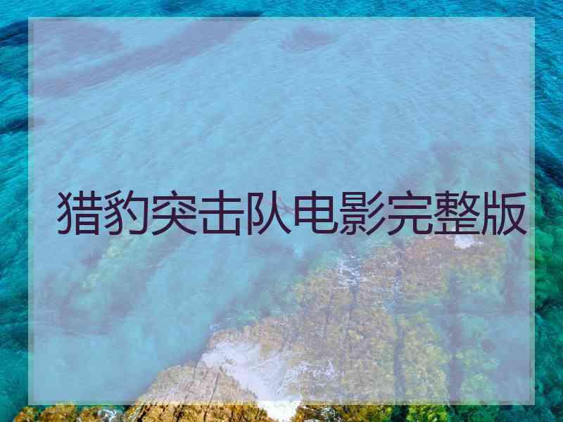 猎豹突击队电影完整版