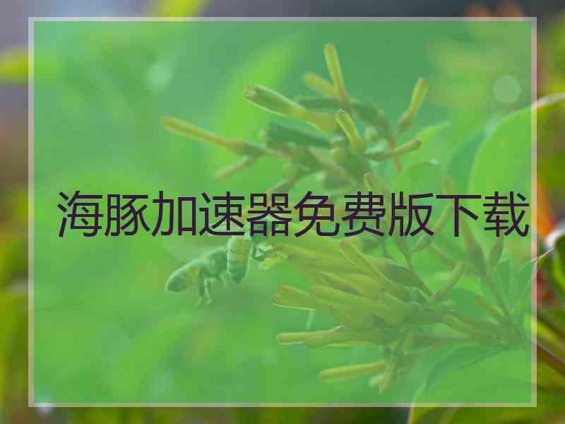 海豚加速器免费版下载