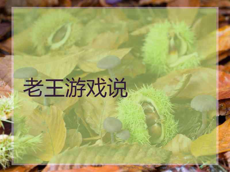 老王游戏说