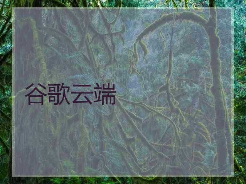 谷歌云端