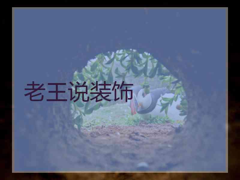 老王说装饰