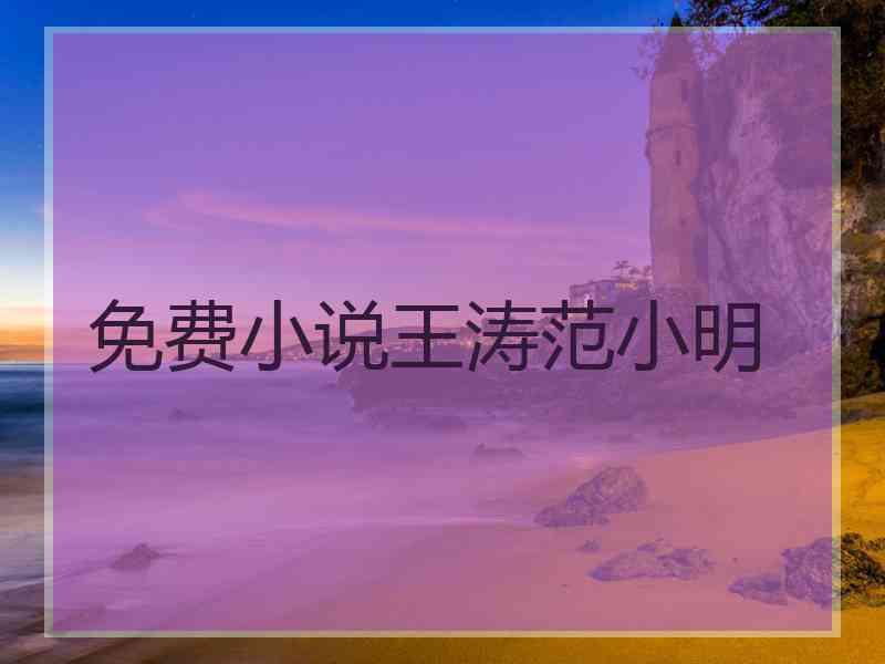 免费小说王涛范小明