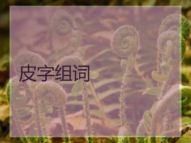 皮字组词