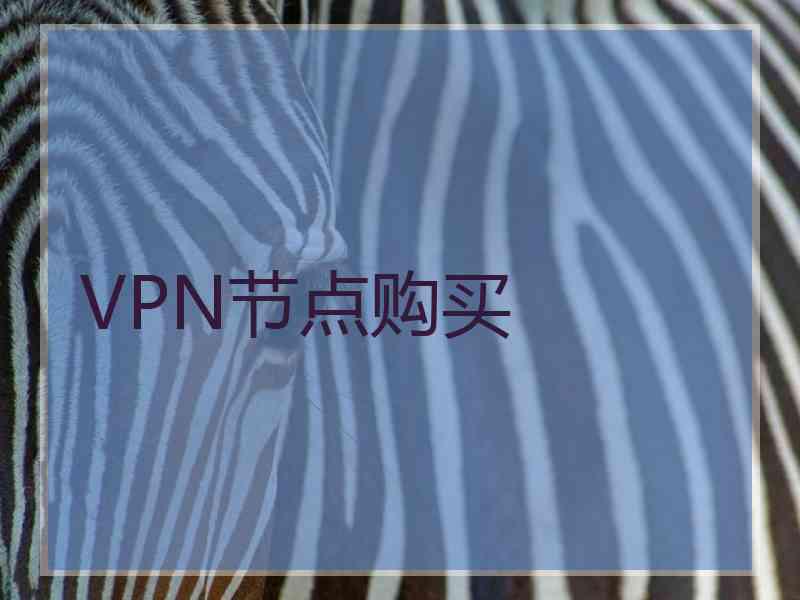 VPN节点购买