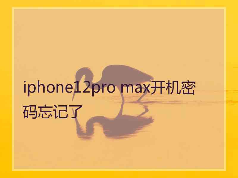iphone12pro max开机密码忘记了