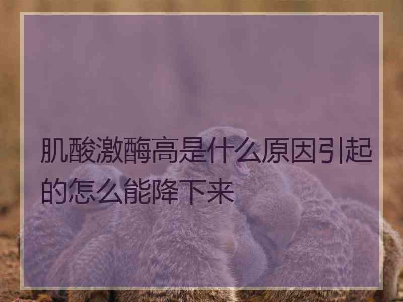 肌酸激酶高是什么原因引起的怎么能降下来