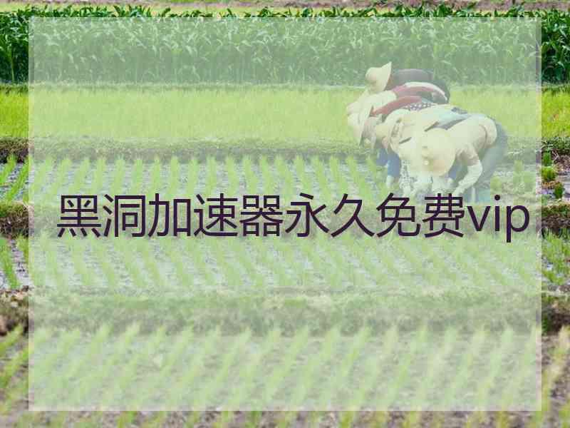 黑洞加速器永久免费vip