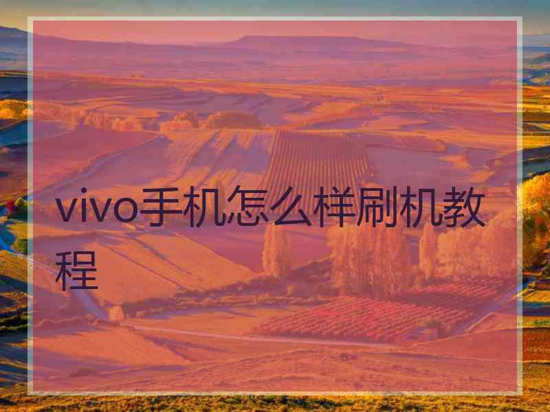 vivo手机怎么样刷机教程