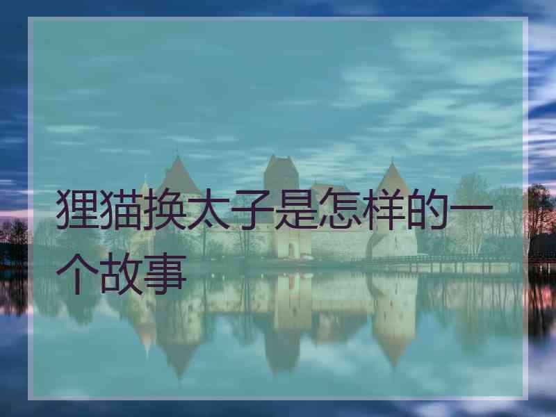 狸猫换太子是怎样的一个故事