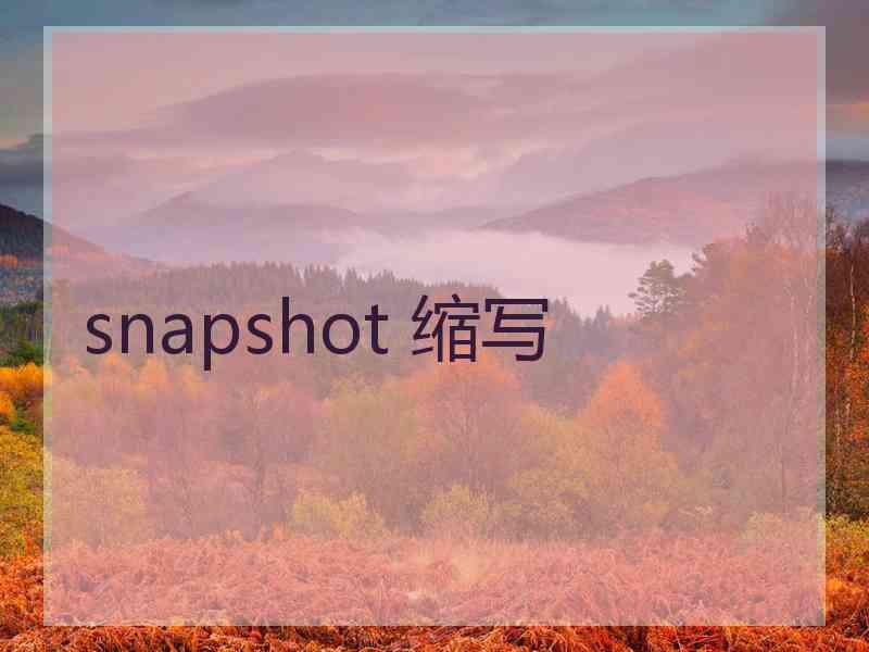 snapshot 缩写