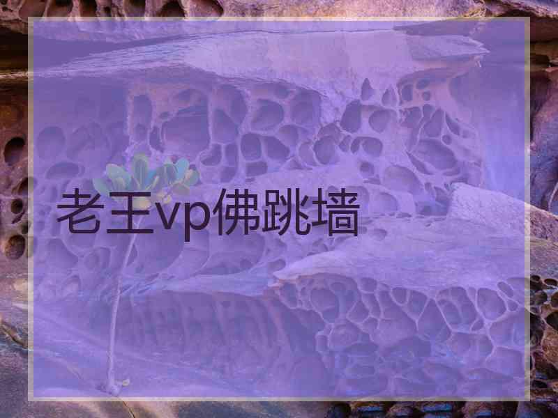 老王vp佛跳墙