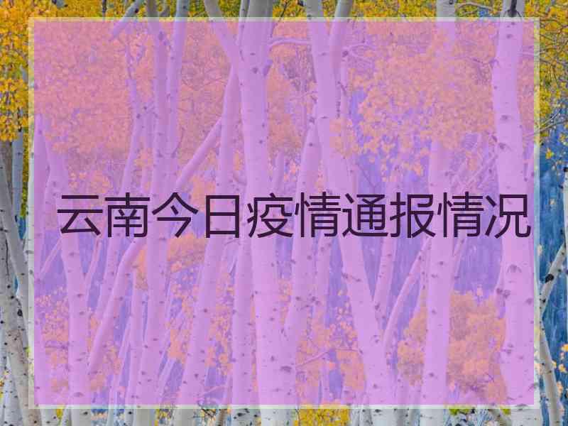 云南今日疫情通报情况