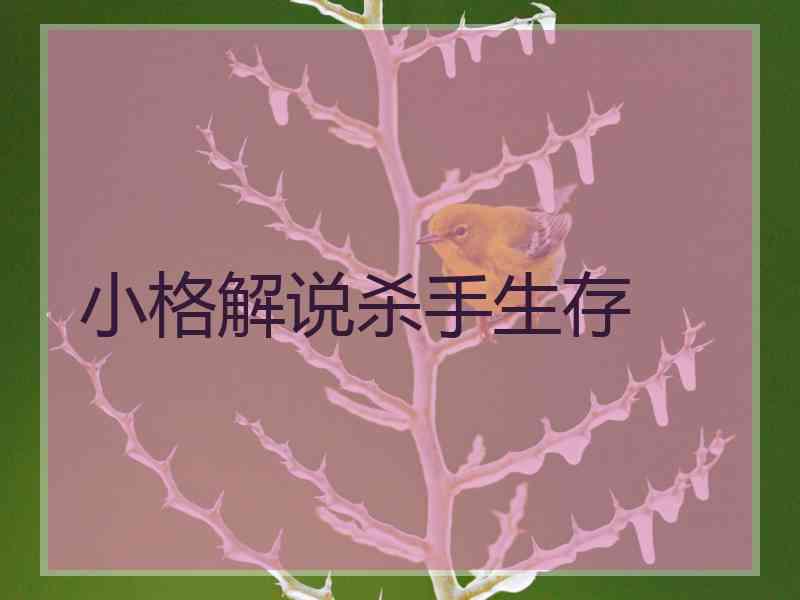 小格解说杀手生存