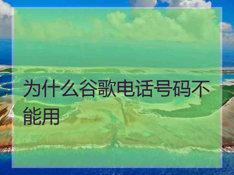 为什么谷歌电话号码不能用