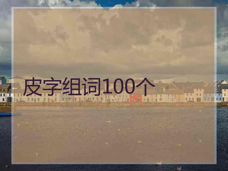 皮字组词100个